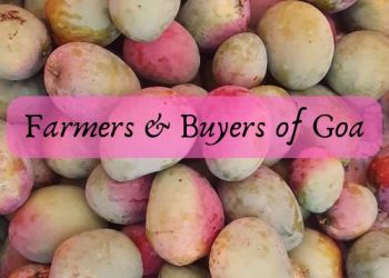 farmer & buyer of Goa