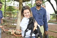 image 11 0f 22 thumb