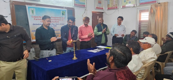 Plants: image 3 0f 4 thumb