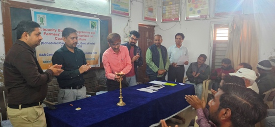 Plants: image 3 0f 4 thumb