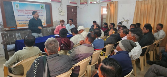 Plants: image 3 0f 4 thumb