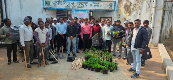 Plants: image 3 0f 4 thumb