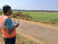 Plants: image 3 0f 4 thumb