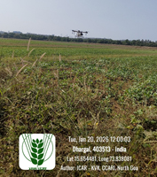 Plants: image 3 0f 4 thumb