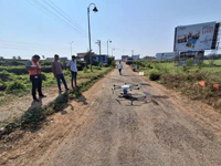 Plants: image 3 0f 4 thumb