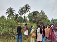 Plants: image 3 0f 4 thumb