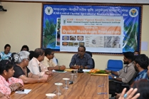 Plants: image 3 0f 4 thumb