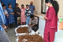 Plants: image 3 0f 4 thumb