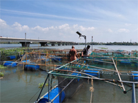 Plants: image 3 0f 4 thumb