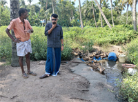 Plants: image 3 0f 4 thumb