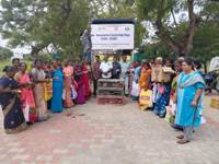 Plants: image 3 0f 4 thumb