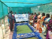 Plants: image 3 0f 4 thumb