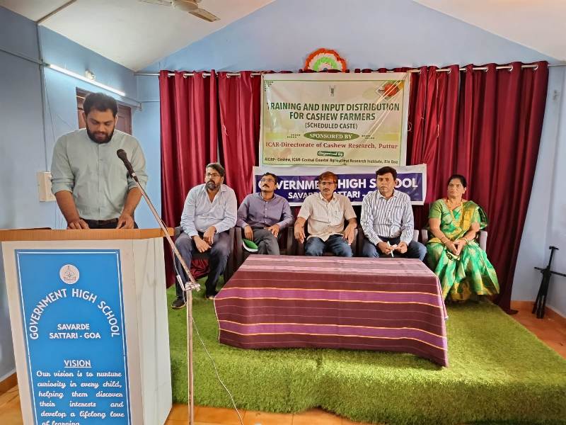 Plants: image 3 0f 4 thumb