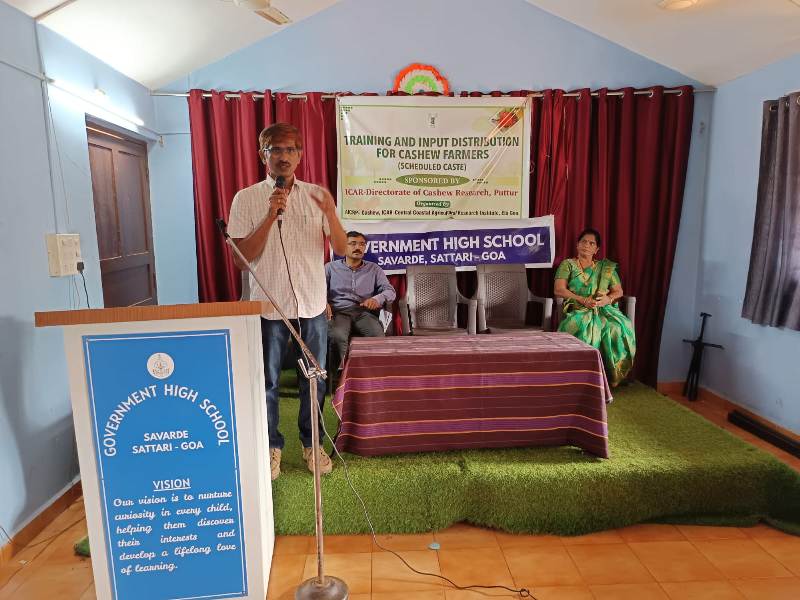 Plants: image 3 0f 4 thumb