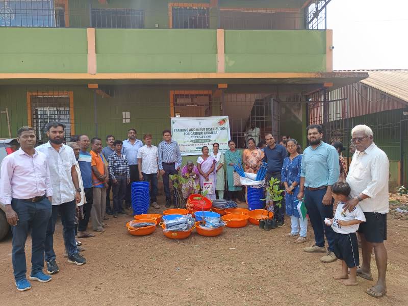 Plants: image 3 0f 4 thumb