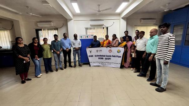 Plants: image 3 0f 4 thumb