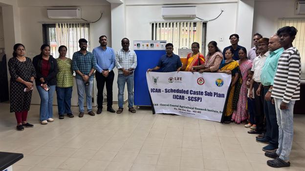 Plants: image 3 0f 4 thumb