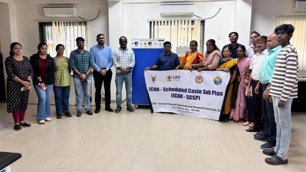 Plants: image 3 0f 4 thumb