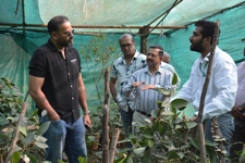 Plants: image 3 0f 4 thumb