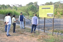 Plants: image 3 0f 4 thumb