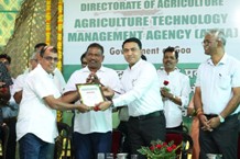 Plants: image 3 0f 4 thumb