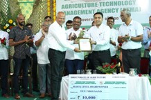 Plants: image 3 0f 4 thumb