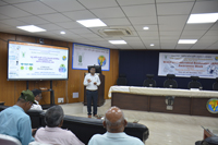 Plants: image 3 0f 4 thumb