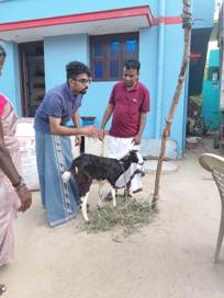 Plants: image 3 0f 4 thumb