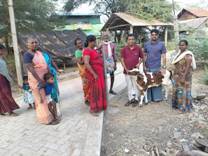 Plants: image 3 0f 4 thumb