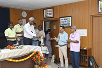 Plants: image 3 0f 4 thumb