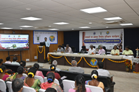 Plants: image 3 0f 4 thumb