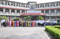 Plants: image 3 0f 4 thumb