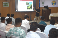 Plants: image 3 0f 4 thumb