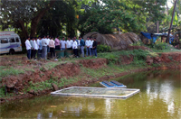 Plants: image 3 0f 4 thumb