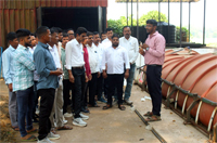 Plants: image 3 0f 4 thumb