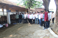 Plants: image 3 0f 4 thumb