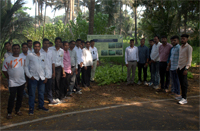 Plants: image 3 0f 4 thumb