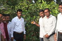 Plants: image 3 0f 4 thumb