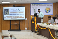 Plants: image 3 0f 4 thumb