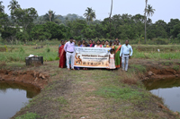 Plants: image 3 0f 4 thumb