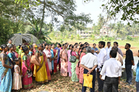 Plants: image 3 0f 4 thumb