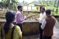 Plants: image 3 0f 4 thumb