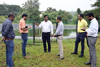 Plants: image 3 0f 4 thumb