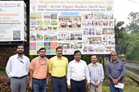 Plants: image 3 0f 4 thumb