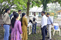 Plants: image 3 0f 4 thumb