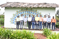 Plants: image 3 0f 4 thumb