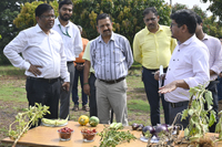 Plants: image 3 0f 4 thumb