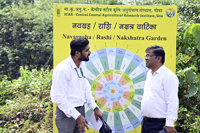 Plants: image 3 0f 4 thumb