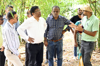 Plants: image 3 0f 4 thumb