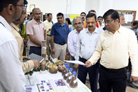 Plants: image 3 0f 4 thumb